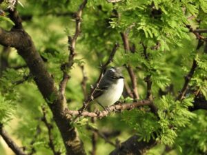 WhatsApp-Image-2026-02-12-at-121704-PM