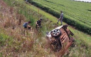 despiste-e1771617895254