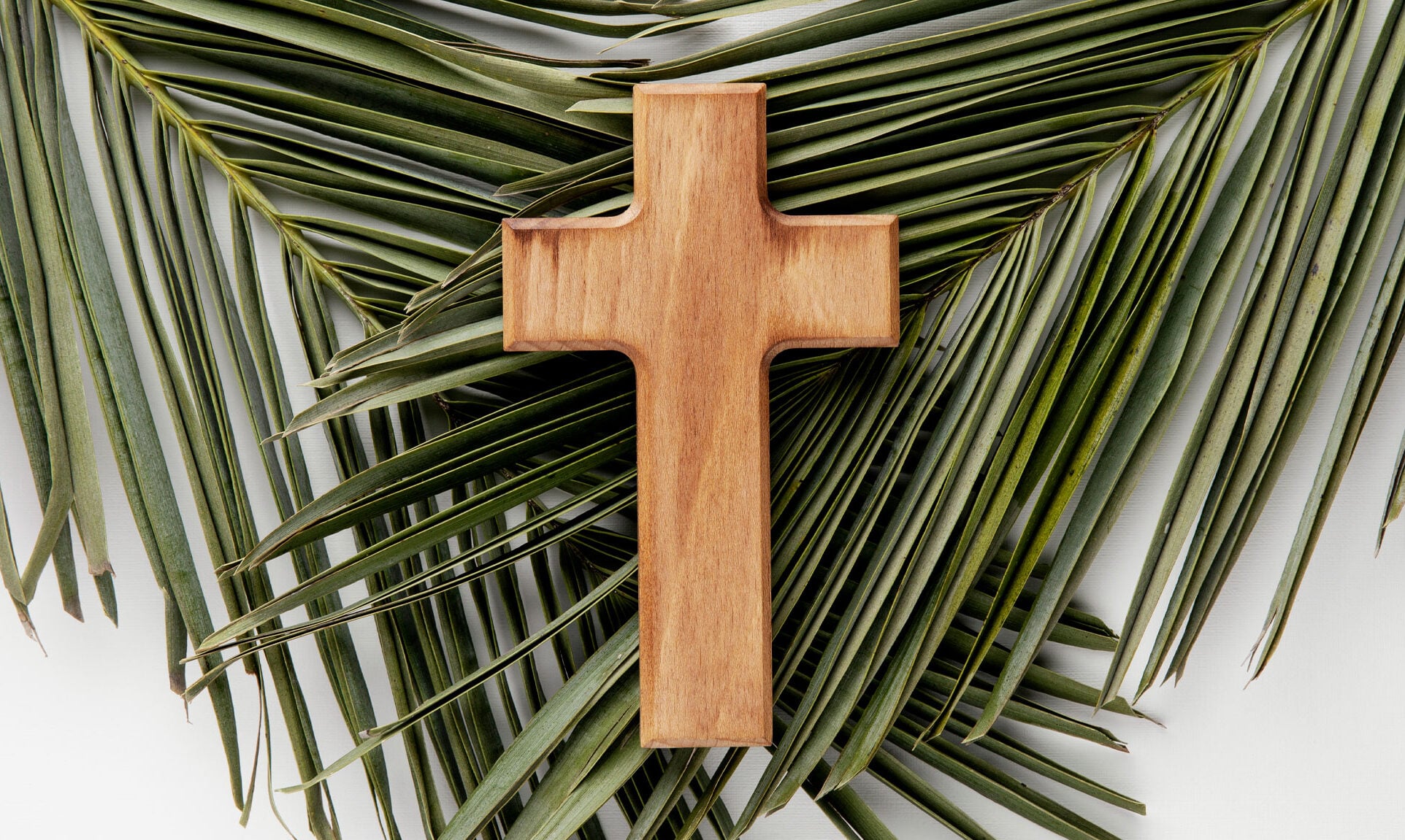 Domingo de Ramos Semana Santa 2026