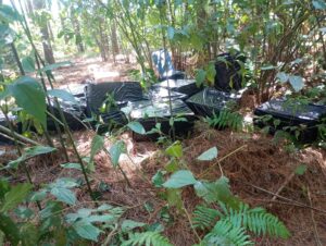 secuestran-cigarrillos-1