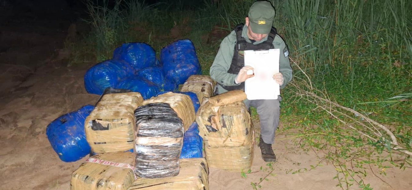 marihuana abandonados en la selva misionera