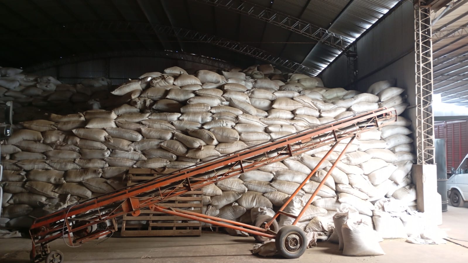 ventas de yerba mate