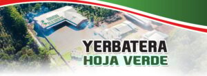 Yerbatera-Hoja-Verde