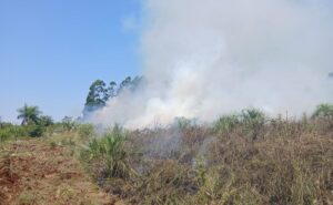 incendio-de-malezas-e1772593638341