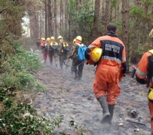 incendio-en-jardin-america-e1772664270992