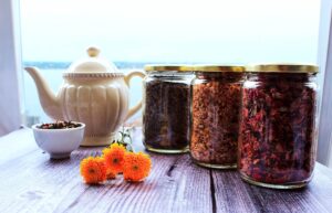 Concurso-Te-Blend-20261-2048x1315