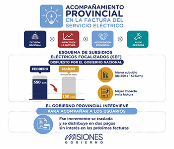 GOBIERNO MISIONES-FACTURA ELECTRICA 350X300