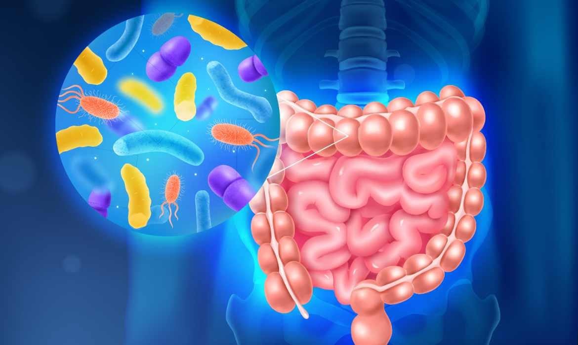 Dieta de 7 días para bajar de peso | Un gastroenterólogo asegura que la clave está en la microbiota y propone un “reseteo intestinal”