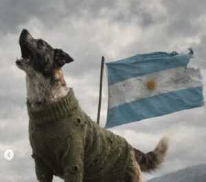 Perros-de-Malvinas-e1775221433113