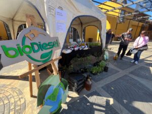 WhatsApp-Image-2026-04-30-at-32635-PM-1