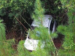 despiste-en-santa-ana-e1775597546565