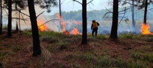 incendio-en-santa-ana