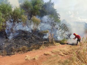 incendio-en-zona-rural