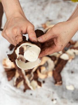 Eldorado Productores de mandioca piden equidad fiscal