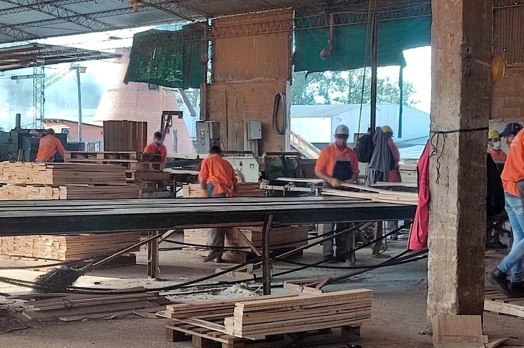 sindicato maderero apuntó contra los dueños de Linor
