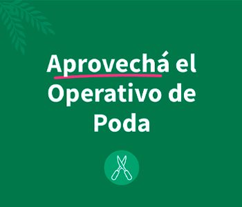 MUNI POSADAS - PODA 2026---350x300
