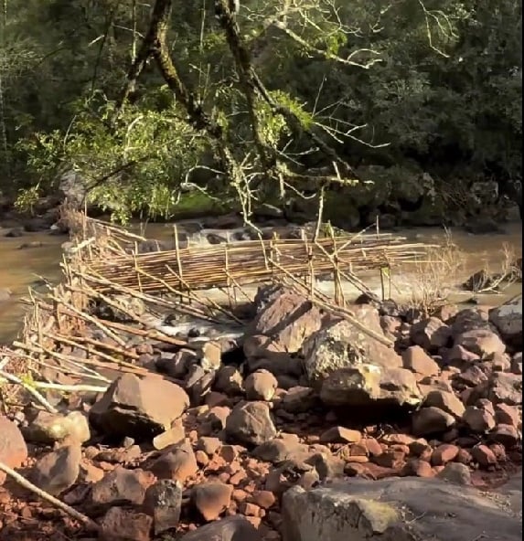 trampa para peces "Parí"