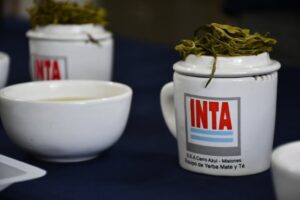 Taza-cata-te