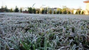 frio-polar