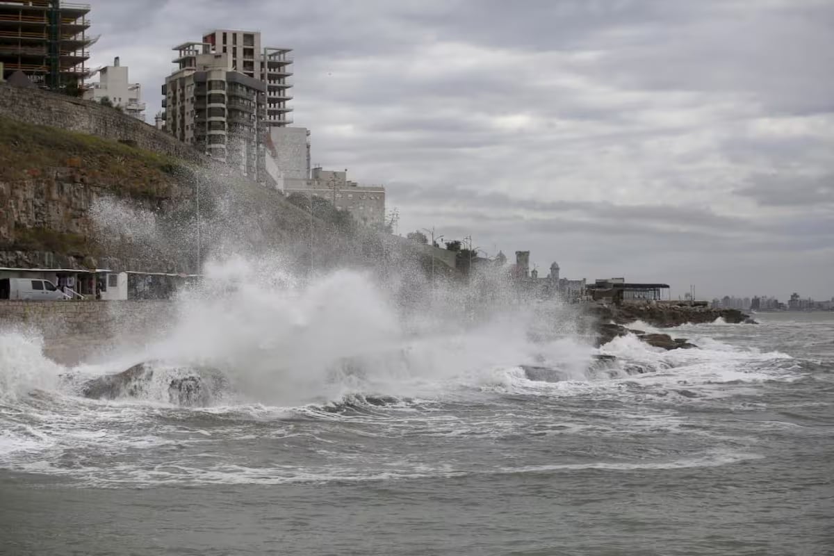 Costa Atlántica argentina