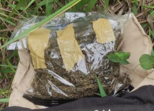 secuestran-marihuana-e1778195545725