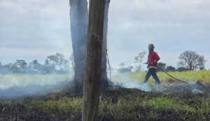 incendio-de-malezas-e1781823365264