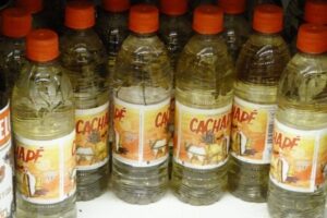Cachape-con-ruda-1