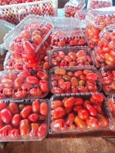 Tomates-Cherry-Biofabrica-3