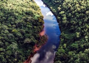 misionesBiodiversidad