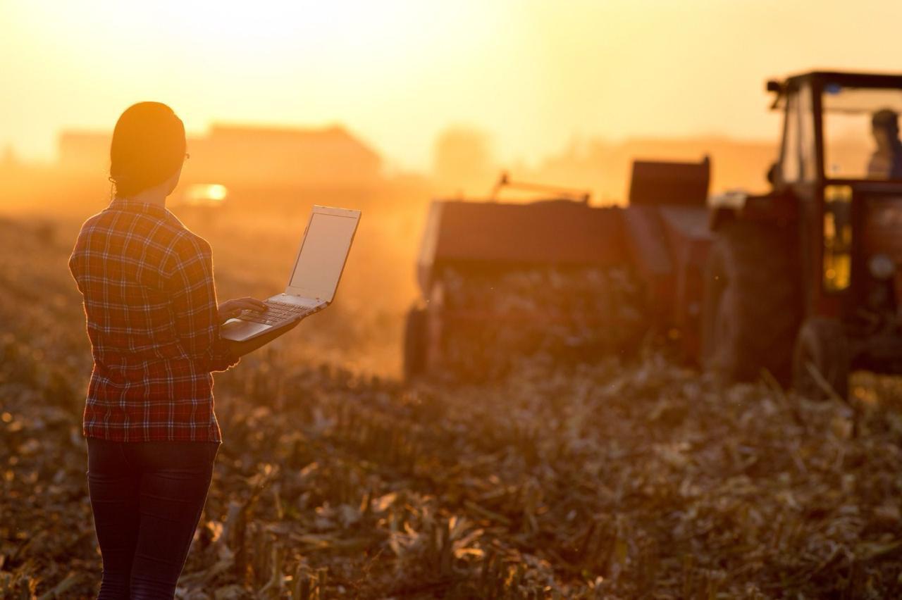 Banco Nación alcanzó una cartera agropecuaria de $4,5 billones