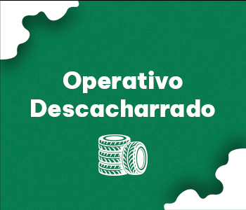 MUNICIPALIDAD POSADAS descacharrado 2026---350x300