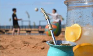 Terere