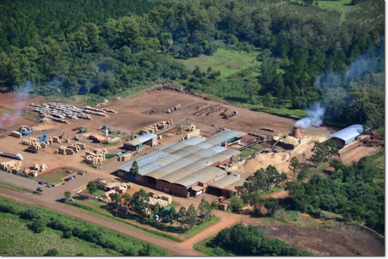 Cierre del aserradero Linor en Azara