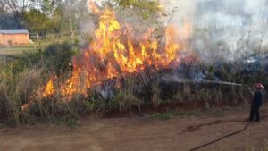incendio-de-malezas