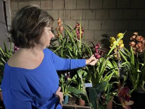 Orquideas-de-los-Saltos29-1