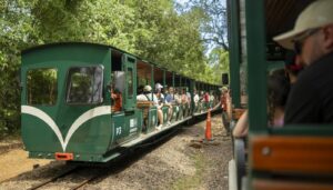 Tren-Ecologico-de-la-Selva-127-1