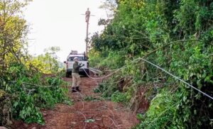 energia-de-misiones-el-soberbio-2