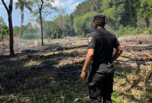 incendio-forestal-e1790636107392