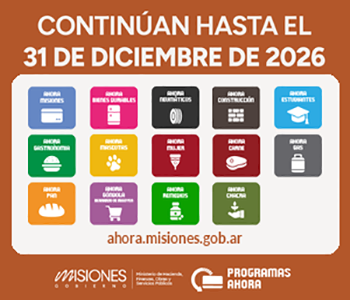 GOBIERNO MISIONES-PROGRAMAS AHORA 2026---350X300