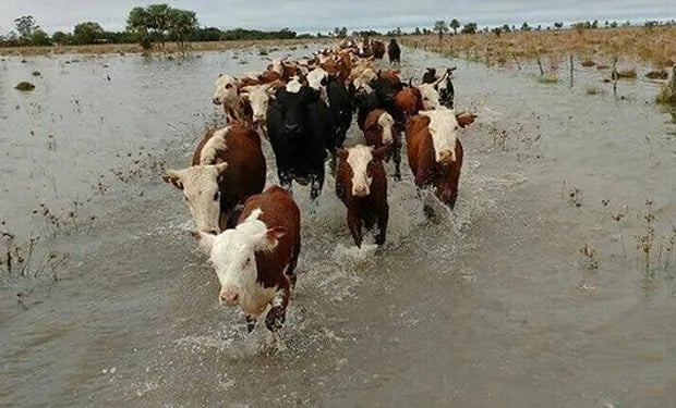 inundaciones