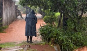 Temporal