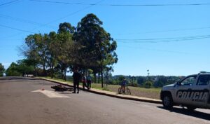 motociclista-herido-e1790989062169